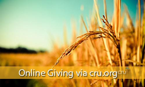 cruimagenew08072015